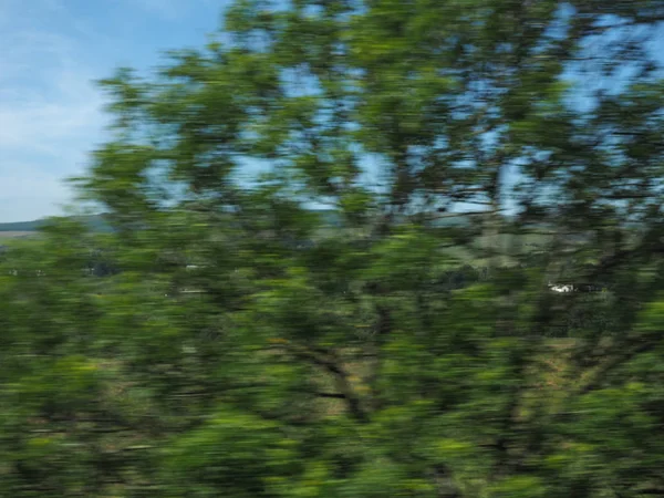 Hojas Desenfocadas Borrosas Vistas Desde Tren Movimiento Con Desenfoque Movimiento — Foto de Stock