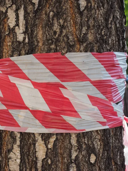 Tree Trunk Barricade Tape Signalling Danger — Stock Photo, Image
