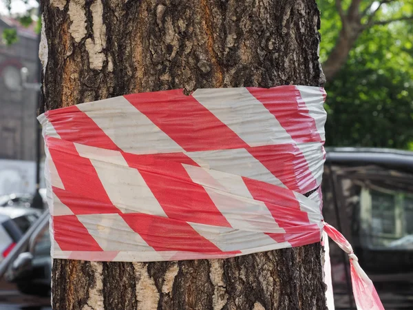 Tree Trunk Barricade Tape Signalling Danger — Stock Photo, Image