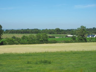 Bir trenin Edinburgh ve Glasgow arasında görülen kırsal panorama