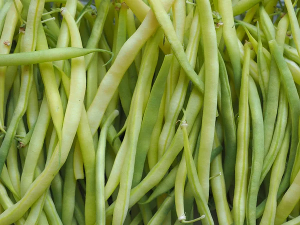 Zelený Řetězec Snap Fazole Luštěniny Zelenina Vegetariánské Jídlo — Stock fotografie