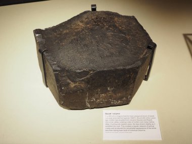 Belfast, İngiltere - Haziran 2018 yaklaşık: Bazalt sütun, Giants causeway, Ulster Müzesi'nde bulunan.