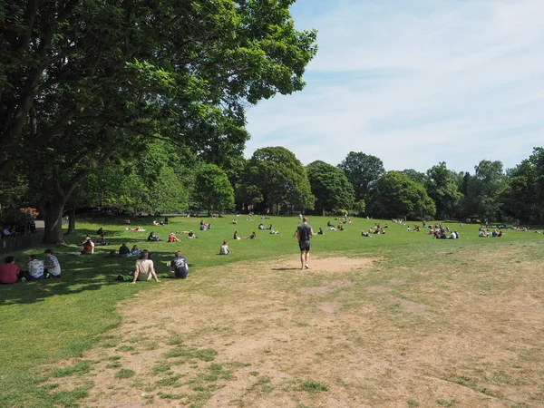 Belfast Circa Giugno 2018 Gente Prende Sole Giardini Botanici — Foto Stock