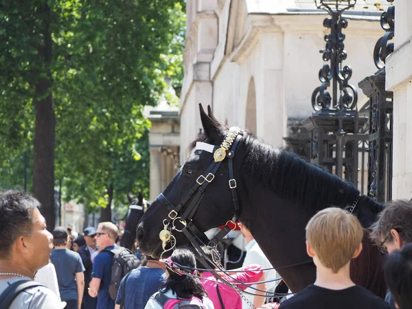 Londra Ngiltere Haziran 2018 Yaklaşık Muhafızlar Atlar — Stok fotoğraf