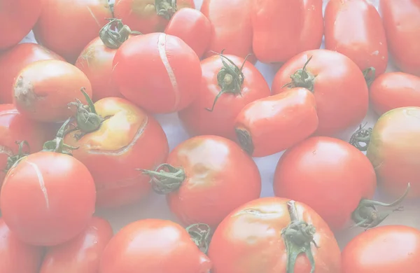 Ντομάτες Solanum Lycopersicum Λαχανικά Για Χορτοφάγους Τροφίμων Λεπτή Μαλακή Ξεθωριάσει — Φωτογραφία Αρχείου
