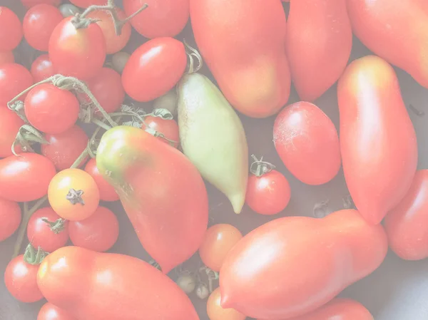 Red Italian Tomato Vegetables Healthy Vegetarian Food Delicate Soft Faded — Stock Photo, Image