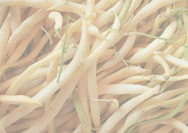 yellow green string snap beans legumes vegetables vegetarian food, delicate soft faded tone useful as background