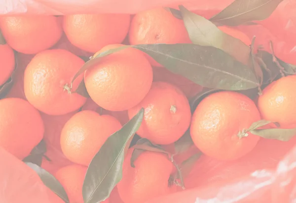 橙柑桔 Tangerina 水果素食 细腻柔和褪色的色调作为背景有用 — 图库照片