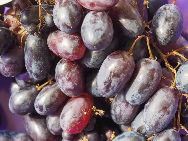 Uva Rossa Vitis Vinifera Frutta Cibo Vegetariano — Foto Stock