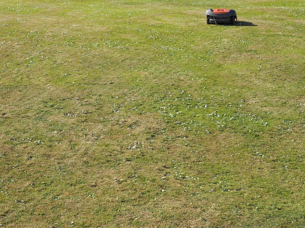 Automatic lawn mower machine at work in a public park