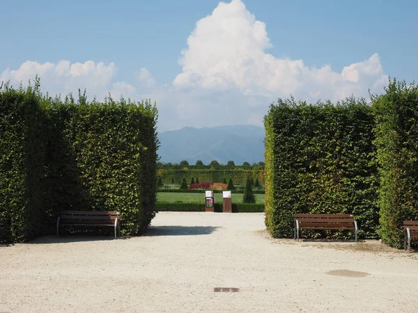 Venária Itália Circa Agosto 2018 Jardins Palácio Reggia Venaria — Fotografia de Stock