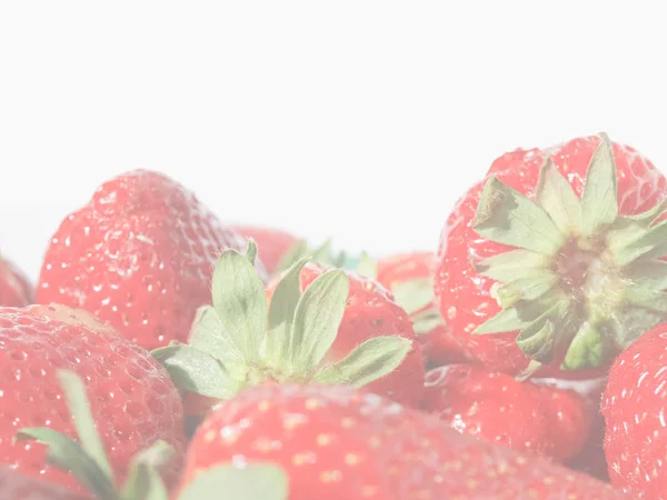 Detail Strawberries Isolated White Copy Space Delicate Soft Faded Tone — Stock Photo, Image