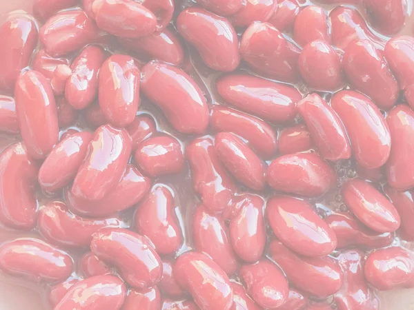Красный Фасоль Разнообразие Фасоль Phaseolus Vulgaris Бобовые Овощи Овощной Пищи — стоковое фото