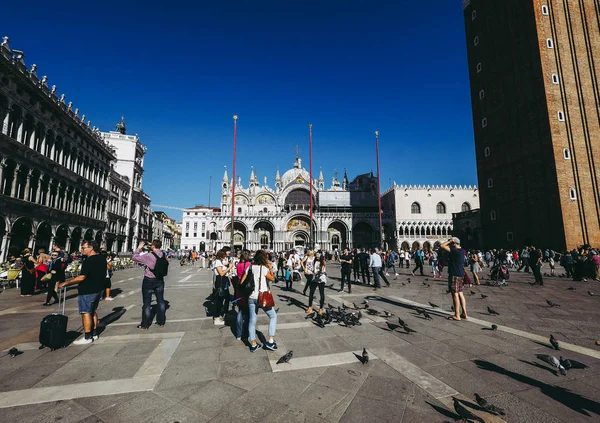 Venice, İtalya - Eylül 2016 yaklaşık: Piazza San Marco (San Marco Meydanı anlamına gelir)