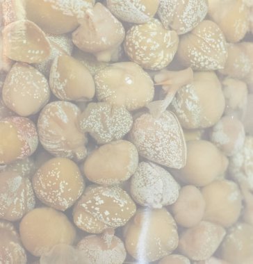 yeşil Kapari (Capparis spinosa) meyve tuzlu vejetaryen yemek bir kavanoza hassas yumuşak sesi arka plan olarak yararlı soluk.