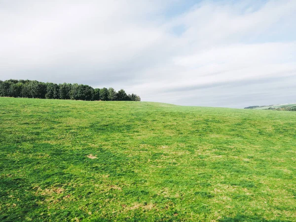 Anglický Venkovský Panorama Kolem Salisbury Anglii Velká Británie — Stock fotografie