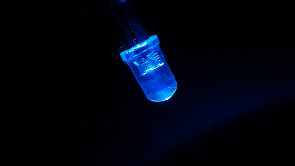 Pulsujące Niebieski Led Light Emitting Diode Makro — Wideo stockowe