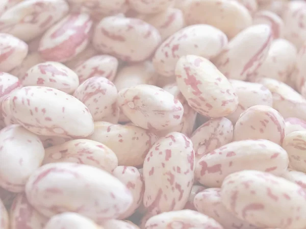 Comida Para Ensalada Sopa Frijoles Delicado Tono Suave Descolorido Útil —  Fotos de Stock