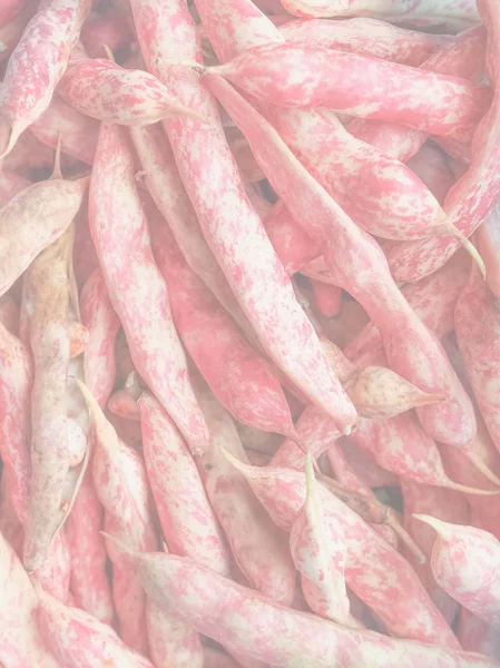 Cranberry Variety Common Beans Aka Crimson Bean Borlotti Bean Roman — Stock Photo, Image