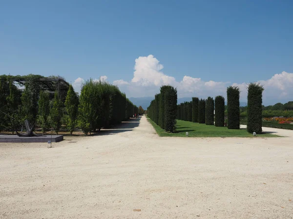 Італія Італія Межах Серпня 2018 Садів Палацу Reggia Італія — стокове фото