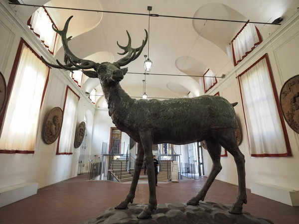 이탈리아 2018 Palazzina 사냥과 Stupinigi Stupinigi의 동상으로 인테리어 — 스톡 사진