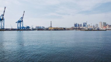 ロマンチックなスタイルの花の円形フレーム