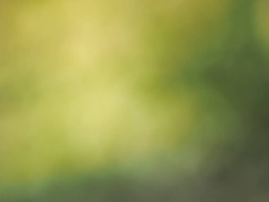 soyut yeşil bulanıklık arka plan olarak kullanışlı