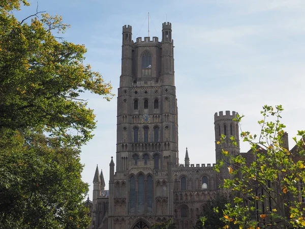 Ely Katedrális Korábban Szent Etheldreda Szent Péter Templom Szent Osztatlan — Stock Fotó