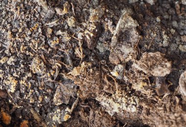 kirli toprak toprak arka plan olarak yararlı