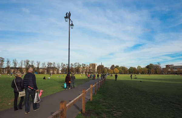 Cambridge Velká Británie Cca Října 2018 Parker Kus Veřejný Park — Stock fotografie