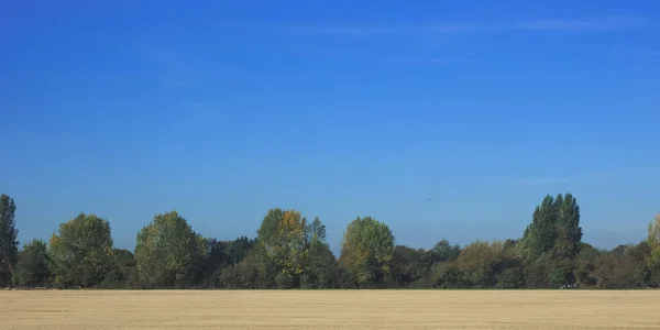 Uitzicht Het Platteland Buurt Van Cambridge Verenigd Koninkrijk — Stockfoto
