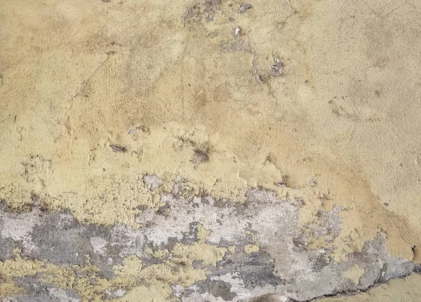 damage caused by damp and moisture on a wall