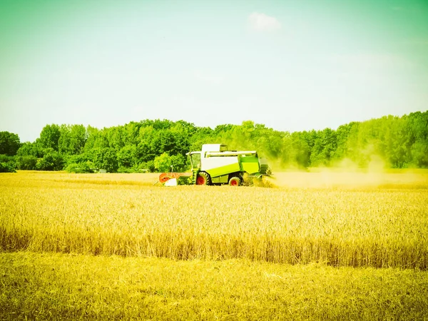 Harvest Field Barley Beer Production Vintage Retro — Stock Photo, Image