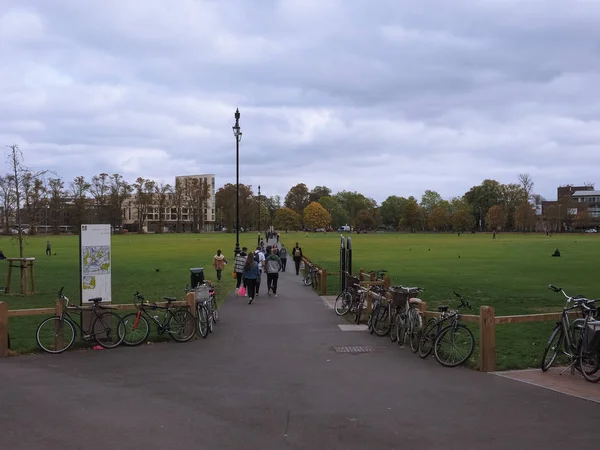 Cambridge Velká Británie Cca Října 2018 Parker Kus Veřejný Park — Stock fotografie