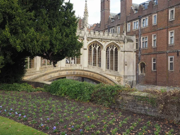 Cambridge Verenigd Koninkrijk Circa Oktober 2018 Brug Der Zuchten Rivier — Stockfoto
