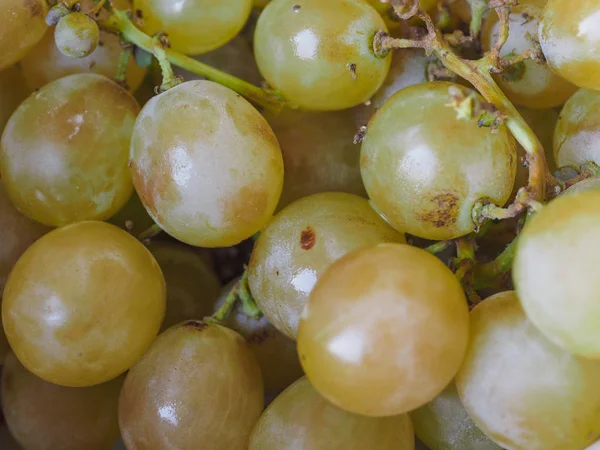 Άσπρου Σταφυλιού Vitis Vinifera Φρούτα Χορτοφαγικά Τρόφιμα — Φωτογραφία Αρχείου