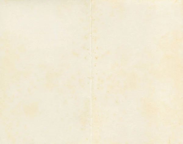 Pergaminho Papel Branco Para Cartão Felicitações Menu Convite Restaurante Cor — Fotografia de Stock