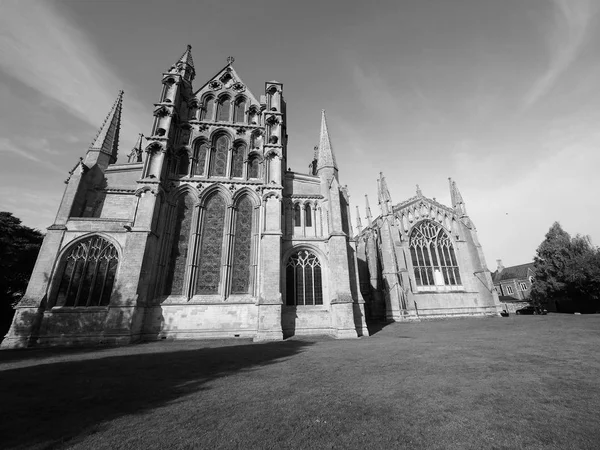 Ely Cathedral Formerly Church Etheldreda Peter Church Holy Undivided Trinity — Stock Photo, Image