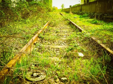 vintage terkedilmiş Tren demiryolu parça bitki örtüsü vintage retro tarafından kapalı