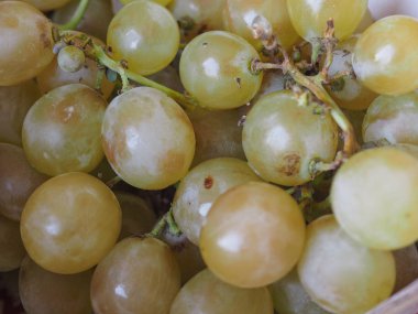 beyaz üzüm (Vitis vinifera) meyve vejetaryen yemek