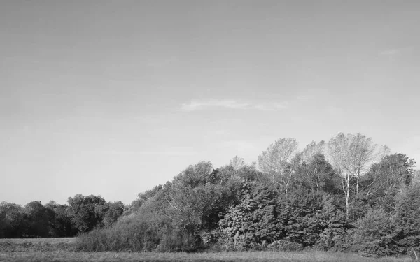 Blick Auf Die Landschaft Der Nähe Von Cambridge Schwarz Weiß — Stockfoto
