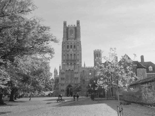 Ely Cathedral Formerly Church Etheldreda Peter Church Holy Undivided Trinity — Stock Photo, Image