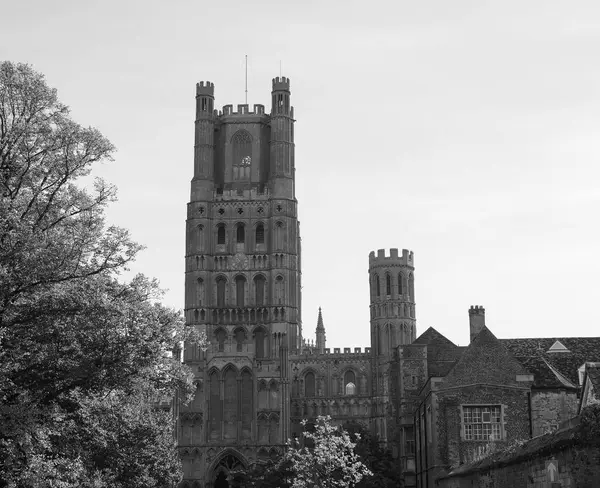 Ely Kathedrale Ehemals Kirche Von Etheldreda Und Peter Und Kirche — Stockfoto