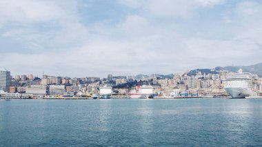 ロマンチックなスタイルの花の円形フレーム