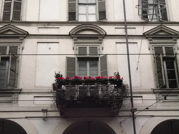 Torino Talya Için Bir Balkonda Çiçek — Stok fotoğraf