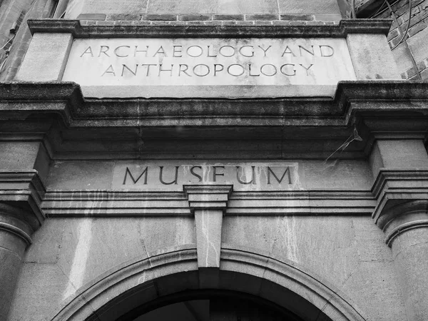 Cambridge Reino Unido Circa Outubro 2018 Sinal Museu Arqueologia Antropologia — Fotografia de Stock