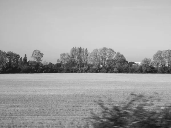 Vista Del Campo Cerca Cambridge Reino Unido Blanco Negro — Foto de Stock