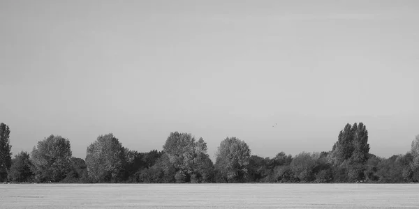 Vista Del Campo Cerca Cambridge Reino Unido Blanco Negro — Foto de Stock