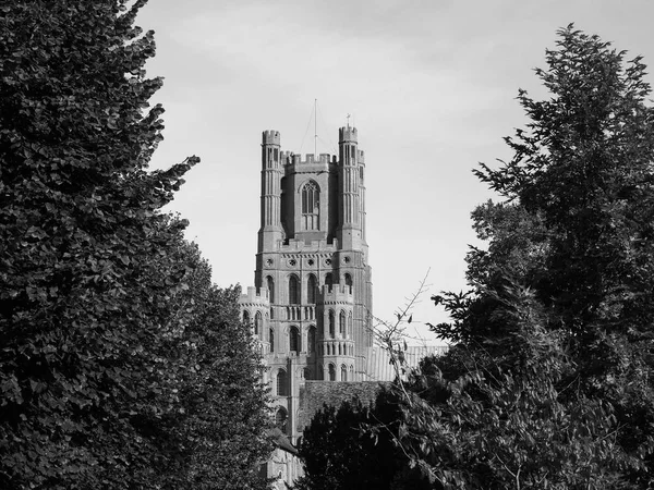 Ely Cathedral Formerly Church Etheldreda Peter Church Holy Undivided Trinity — Stock Photo, Image