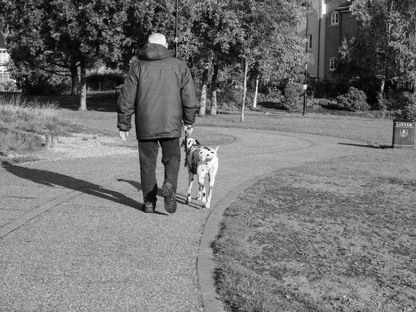 尤克艾利 2018年10月 男子在公共公园白衣中行走达尔马提亚狗 — 图库照片